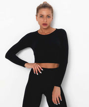 Achieve Long Sleeve Crop Top