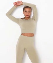 Achieve Long Sleeve Crop Top